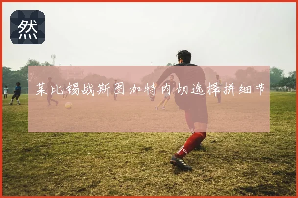 莱比锡战斯图加特内切选择拼细节