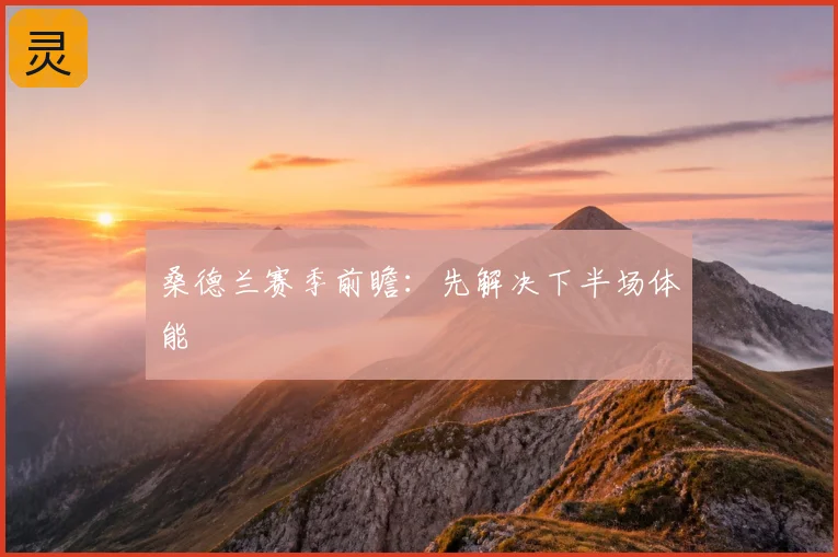 桑德兰赛季前瞻：先解决下半场体能